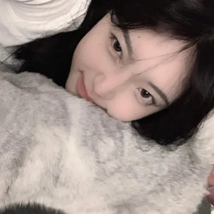 老杨和他的南东块